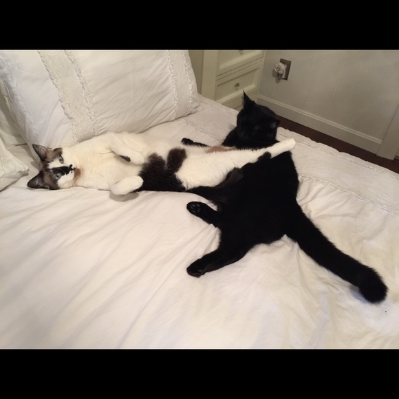 Meet Your Posher! - Picture 4 of 7